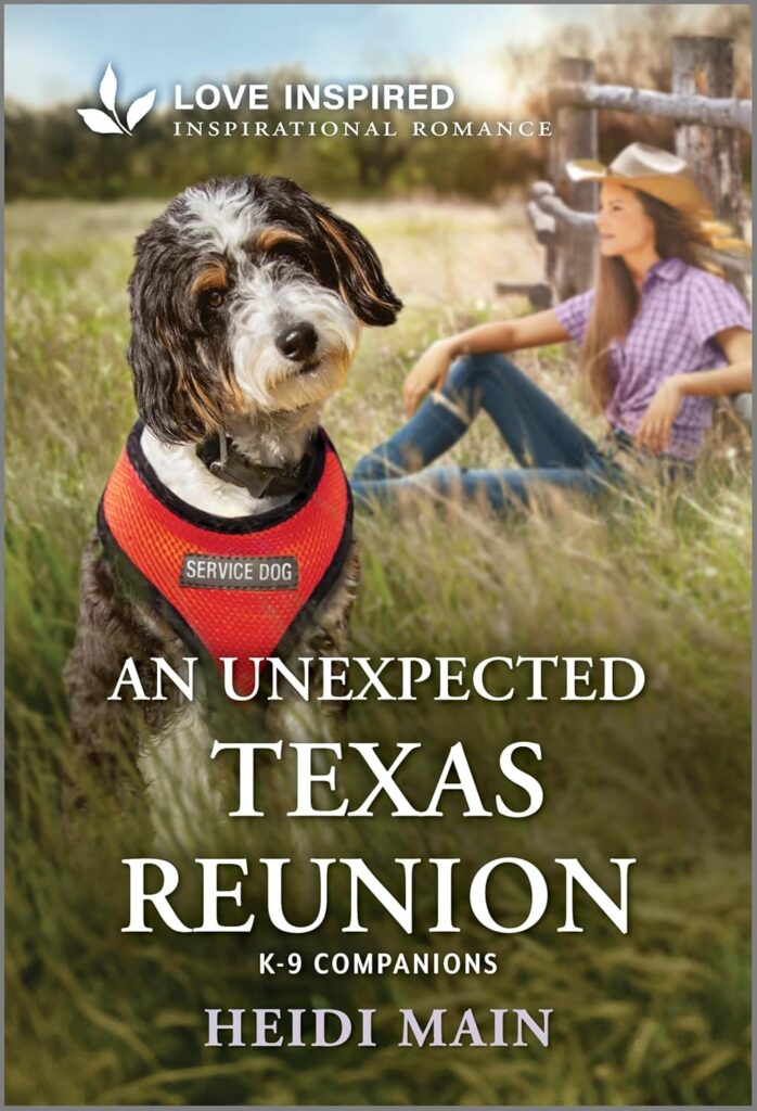 An Unexpected Texas Reunion by Heidi Main